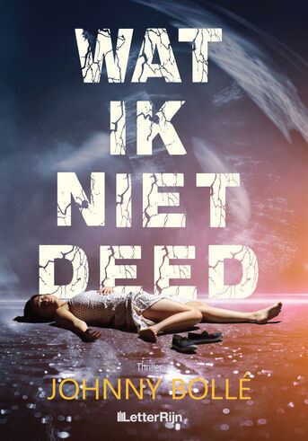 Wat ik niet deed (e-book)