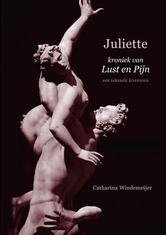 Juliette, kroniek van Lust en Pijn (e-book)