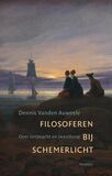 Filosoferen bij schemerlicht (e-book)