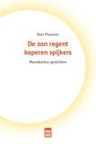 De zon regent koperen spijkers (e-book)