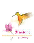 Meditatie (e-book)