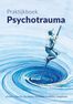 Praktijkboek psychotrauma