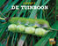 De tuinboon